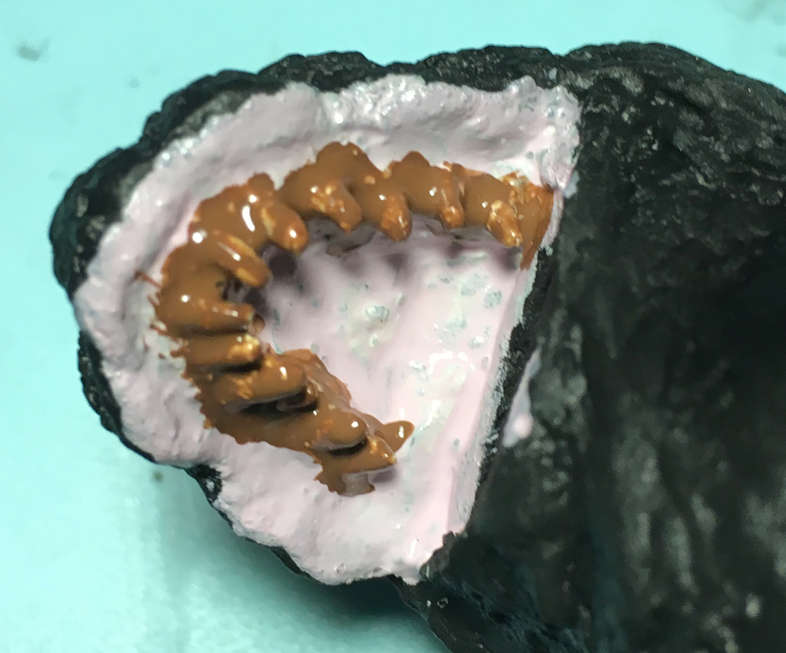 牙にブラウンを塗る
